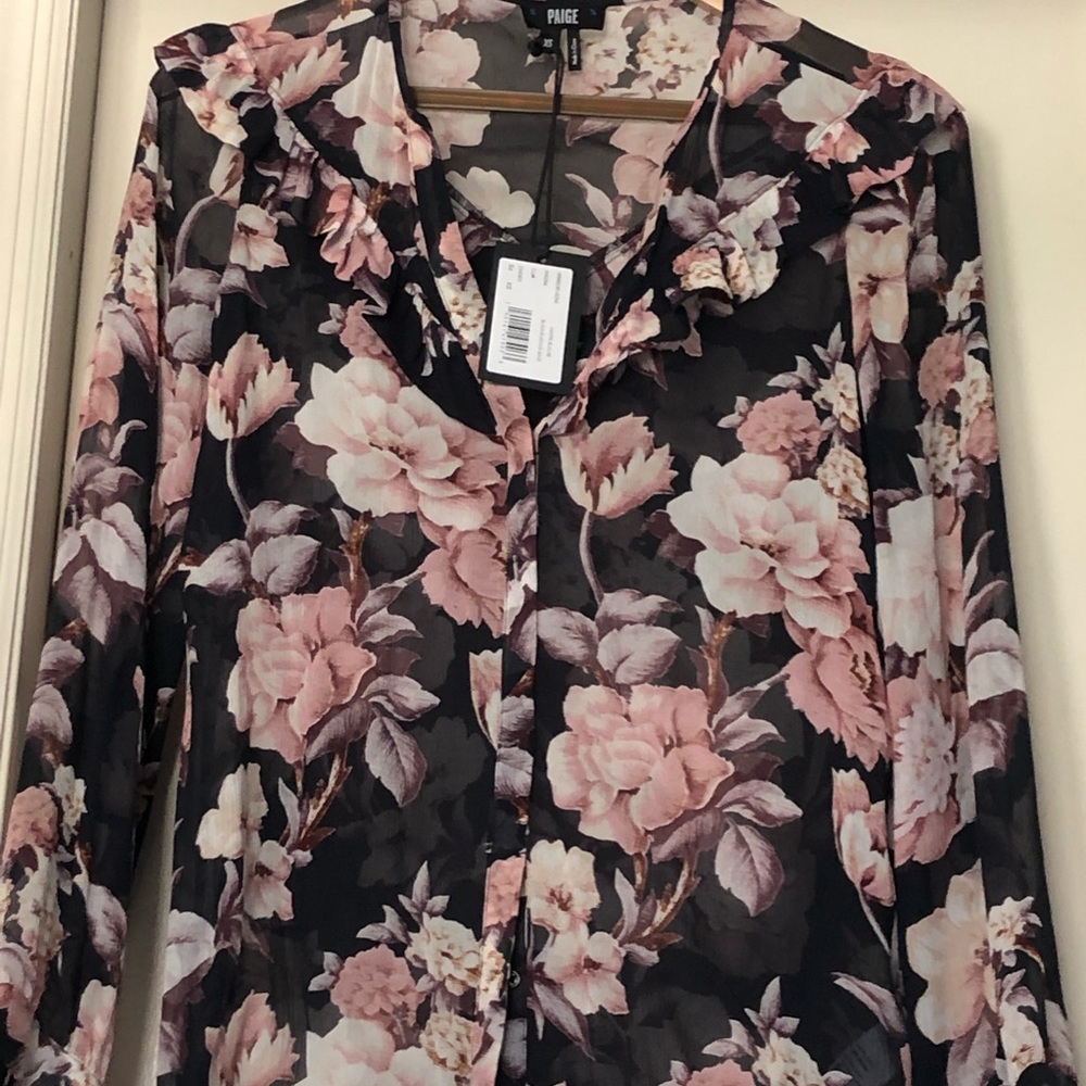 Paige sheer ruffles blouse